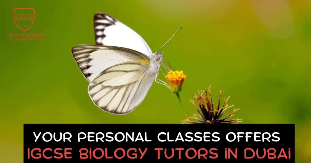 A butterfly & a flower used as a symbol of Biology